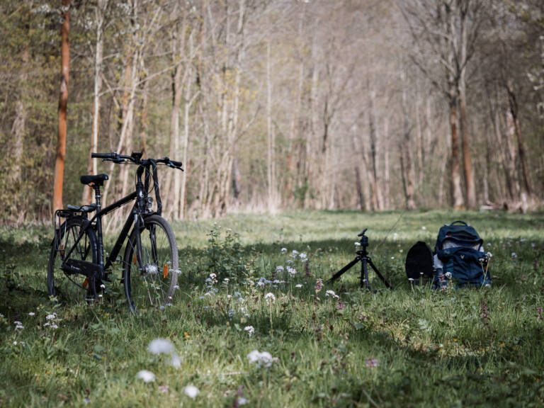 Wiese im Frühling - Makrofototour mit dem Fahrrad