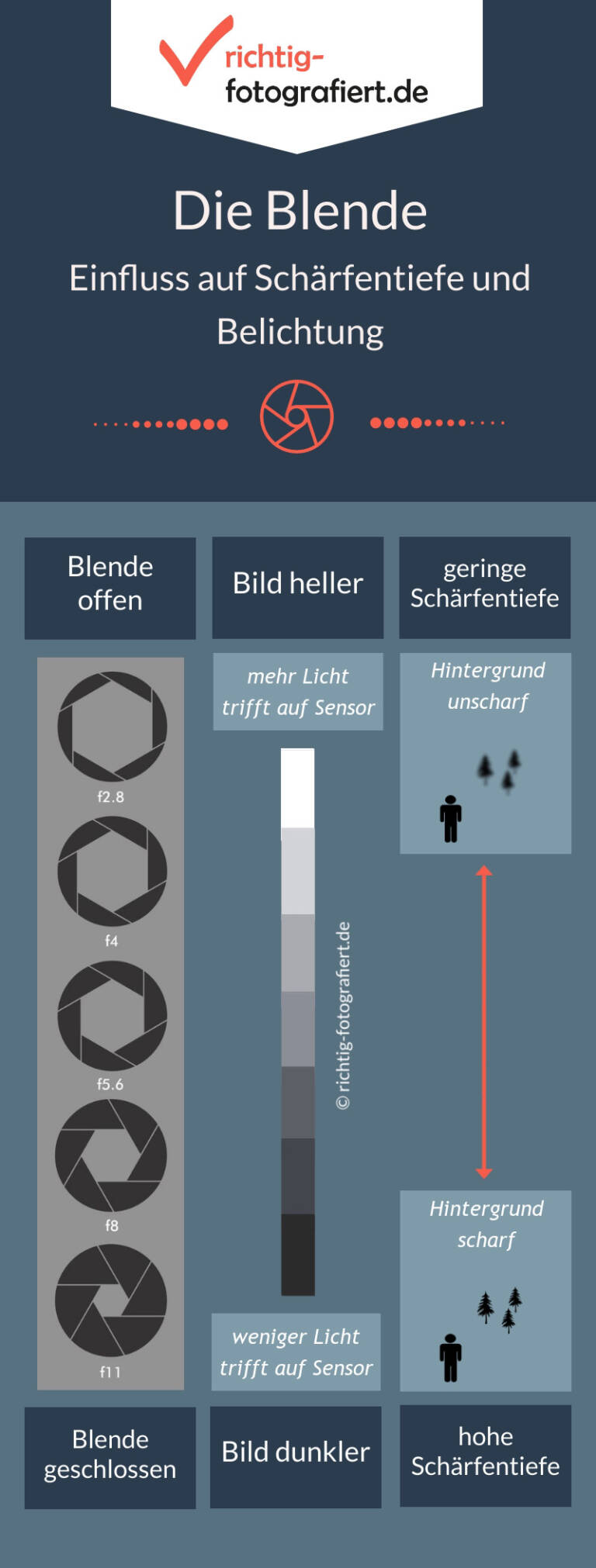 Infografik - Einfluss Blende auf Belichtung und Schärfentiefe