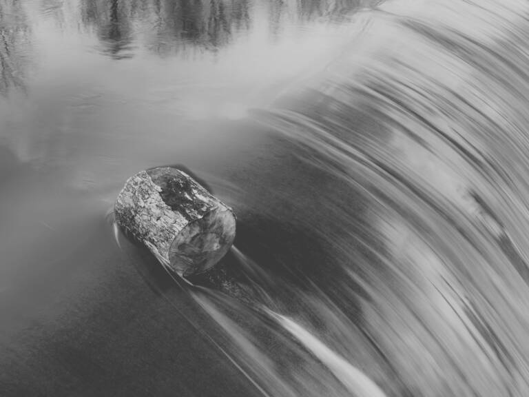 Baumstamm im Wasser - Langzeitbelichtung Schwarz-Weiss